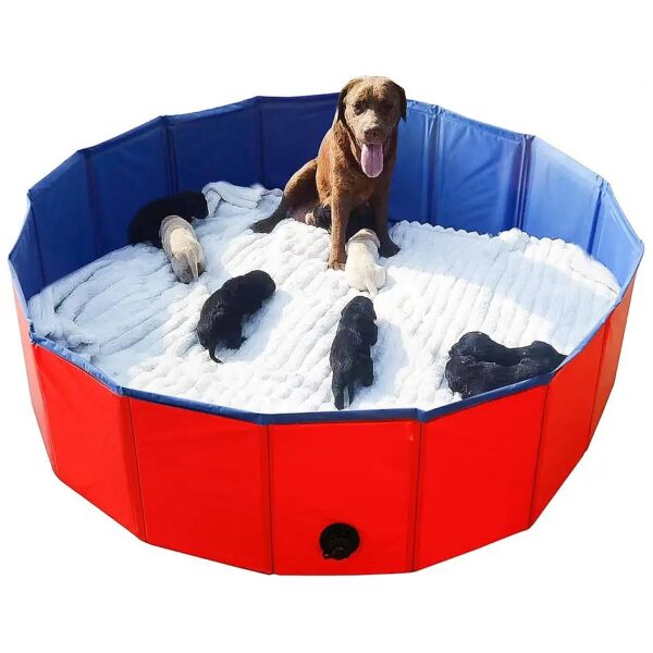 Portable PVC Whelping Pool for Dogs and Puppies with Foldable Design