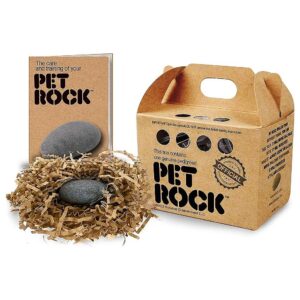 Portable Pet Rock Habitat with Easy Installation