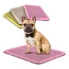 Portable Puppy Potty Training Tray for Small and Medium Dogs Indoor Outdoor Use