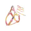 Portable and Durable AIITLE Dog Harness and Leash Set for Extra Small Dogs