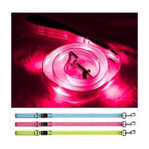 Portable and Rechargeable LED Dog Leash with Safety Features for Nighttime Walks