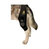 Post-Knee Surgery Recovery Support System for Adult Dogs with Premium Neoprene Materials