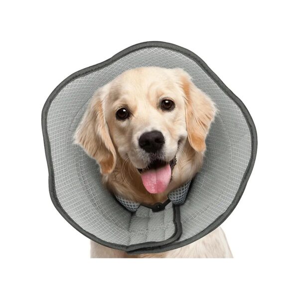 Post-Operative Recovery Cone for Large Dogs with Velcro Design and Adjustable Buckle