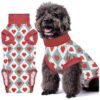 Post Operative Recovery Suit for Dogs with Spay Neuter Surgery and Wound Protection