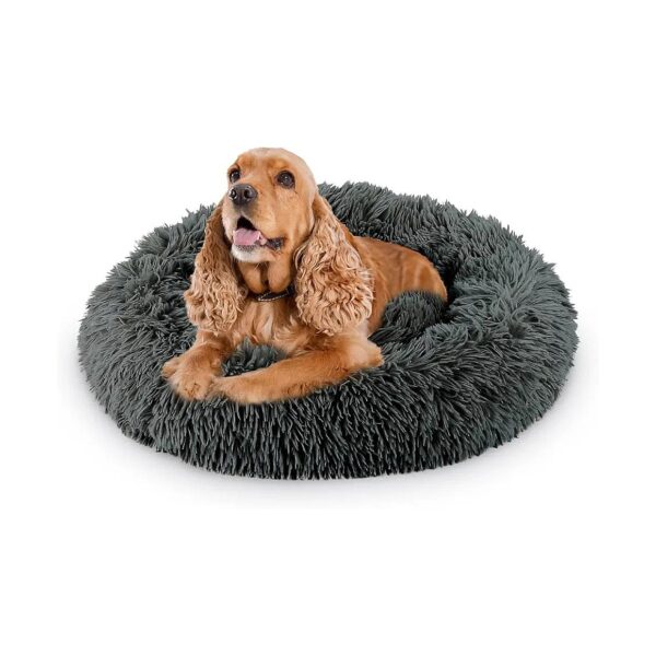 Powdered Nut Dog Bed with Cozy Stress Relief Material Smooth Sleeping for Small Breeds