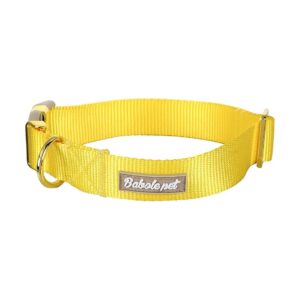 Powerful Yellow Nylon Dog Collar with Chromed Metal Buckle for Small to Large Dogs