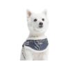 Practical Fleece Padded Chest Harness with Adjustable Girth for Small Dogs