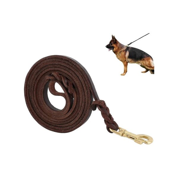 Premier Leather Dog Leash for Medium Large Dogs Strong Training Leash