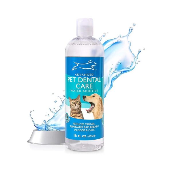 Premier Pet Dental Care Product for Healthy Teeth and Breath