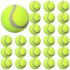 Premium 24 Pack Rubber Felt Tennis Balls for Dog Training and Exercise