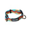 Premium Adjustable Dog Collar for Dogs of All Sizes with Durable Nylon Materials