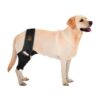 Premium Adjustable Dog Leg Braces for Painful Joints and Muscles