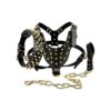 Premium Black Leather Dog Halter and Collar Set with Golden Spikes for Large Dogs