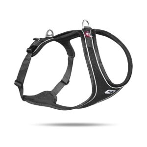 Premium Black XL Dog Harness with Adjustable Chest Strap for a Secure Fit