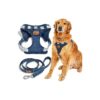 Premium Blue Pebble Dog Harness with Adjustable Leash Medium Size Comfortable