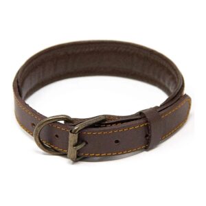 Premium Brown Full Grain Leather Padded Dog Collar with Heavy Duty Hardware