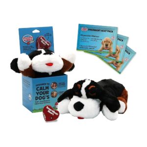 Premium Comfort Toy for Behavioral Training in Bernese Breed Puppies and Dogs