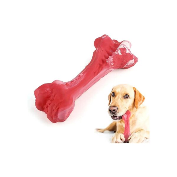 Premium Dog Chew Toys for Strong Dental Health Habits and Long-Lasting Fun