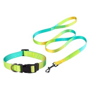 Premium Dog Collar and Leash Set with Adjustable Buckle for Medium Dogs