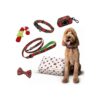 Premium Dog Collar and Leash Set with Stylish Bow and Poop Bag Holder for Small Dogs