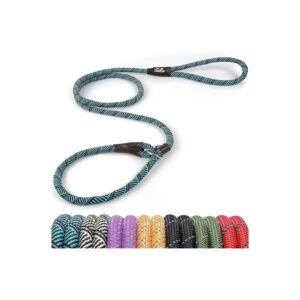 Premium Dog Training Leash with Reflective Strands and Heavy Duty Materials