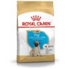 Premium Dry Dog Food for Healthy Skin and Digestion in Pugs