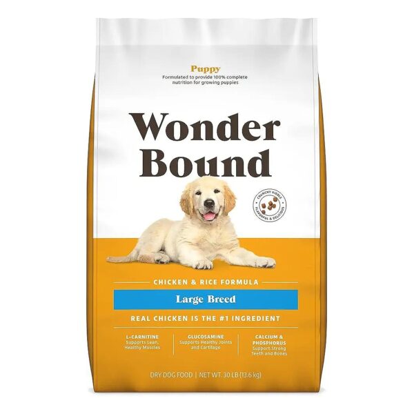 Premium Dry Dog Food for High-Energy Puppies with Real Chicken and Whole Grains