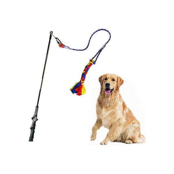 Premium Durability Flirt Pole Teaser for Small Medium Dogs