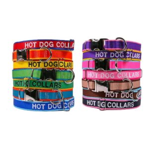 Premium Embroidered Dog Collar with Customizable Text in Small Size for 10-14" Neck