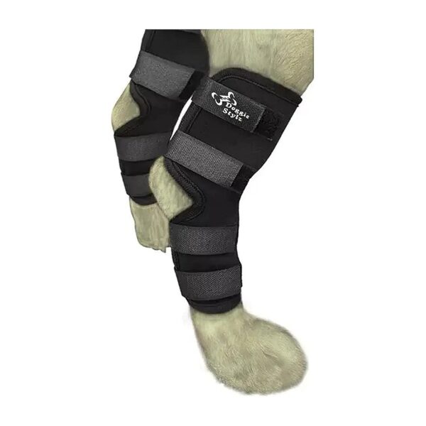 Premium Hock Joint Dog Leg Braces for Canine Recovery Injury Protection Compression Wrap