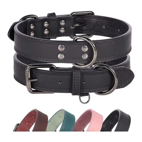 Premium Leather Dog Collar with Metal Buckle and Double D Rings