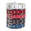 Premium Leather Dog Collars with Strong Stainless Steel Buckle and Double D Rings