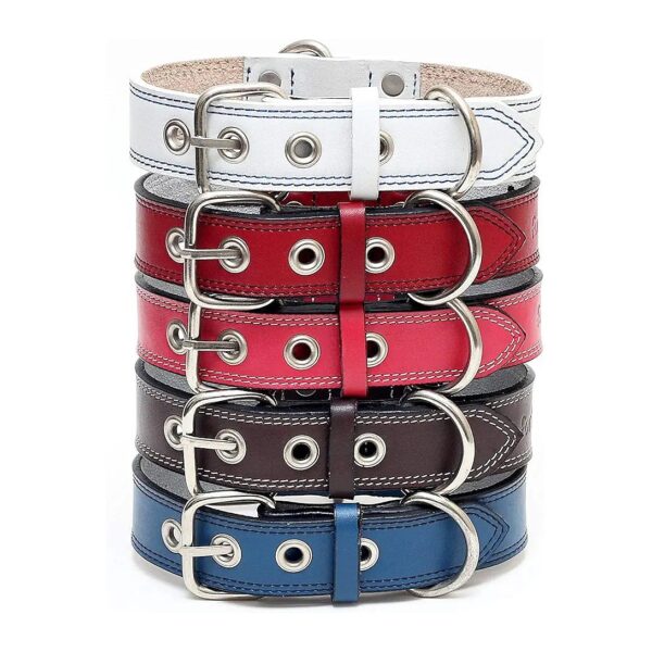 Premium Leather Dog Collars with Strong Stainless Steel Buckle and Double D Rings