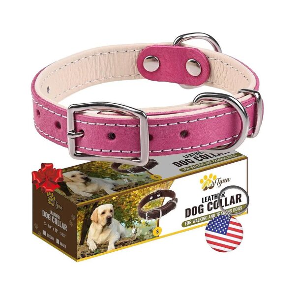 Premium Leather Small Dog Collar with Double Buckle and Padded Inner Wearing Experience