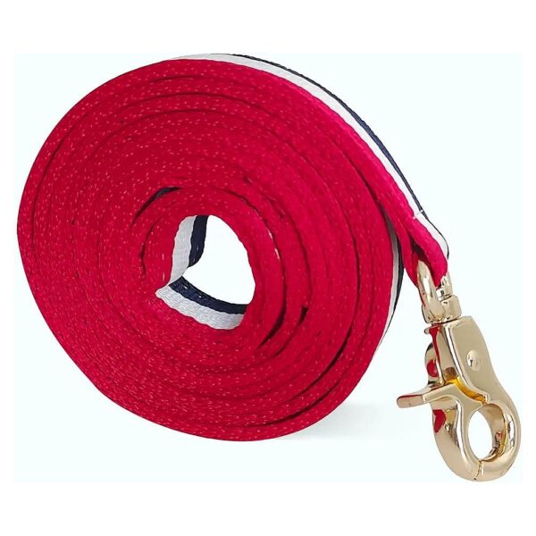 Premium Luxury Soft Durable Dog Leash for Small Medium Large Dogs Walking Training