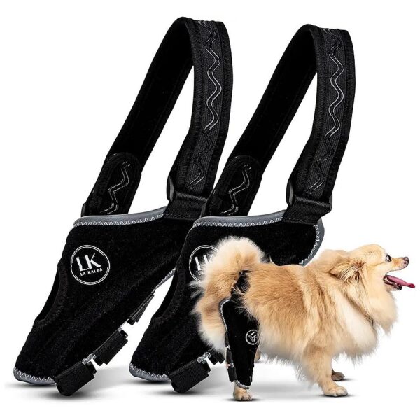 Premium Neoprene Dog Acl Knee Brace for Hind Leg Recovery