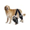 Premium Neoprene Dog Knee Braces with Flexible Springs for Torn ACL Hind Leg Support