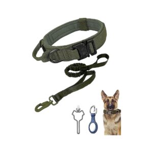 Premium Nylon Dog Collar with Soft Padded Lining and Metal Buckle for Comfortable Wear