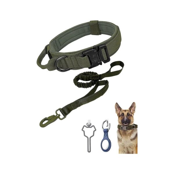 Premium Nylon Dog Collar with Soft Padded Lining and Metal Buckle for Comfortable Wear