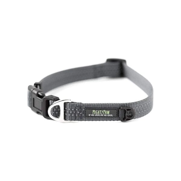 Premium Nylon Grey Dog Collar with Reflective Stitching and Buckle for Maximum Visibility