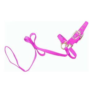 Premium Nylon Hot Pink Sheep Show Halter with Quilted Stitching