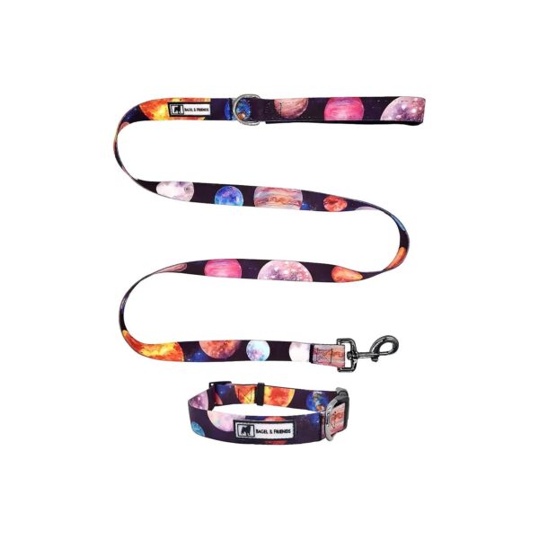 Premium Observatory Design Dog Collar and Leash Set for Small Female Puppies