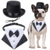 Premium Pet Top Hat and Bandana Collar Formal Wear Set for Dog or Cat