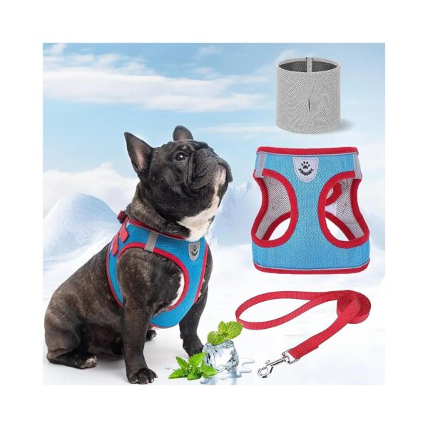 Premium Quality Dog Cooling Vest and Leash Set for Active Dogs