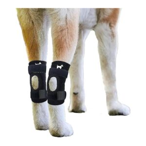 Premium Quality Dog Leg Braces for Dog Back and Front Leg Support and Recovery