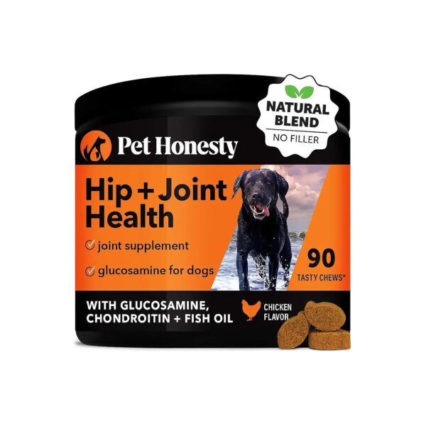 Premium Quality Joint and Hip Care Supplements for Dogs with Glucosamine MSM