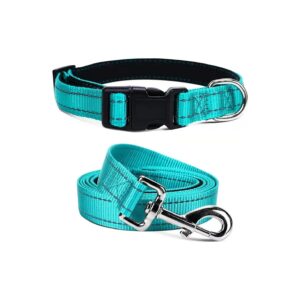 Premium Quality Nylon Dog Leash and Collar Set for Medium Large Dogs