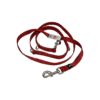 Premium Red Nylon Dog Leash with Chrome Do Not Pet Identification Tag