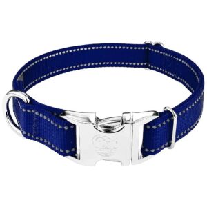 Premium Royal Blue Reflective Nylon Dog Collar with Adjustable Width