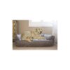 Premium Small Medium Pet Bed with Memory Foam Support and Stylish Design